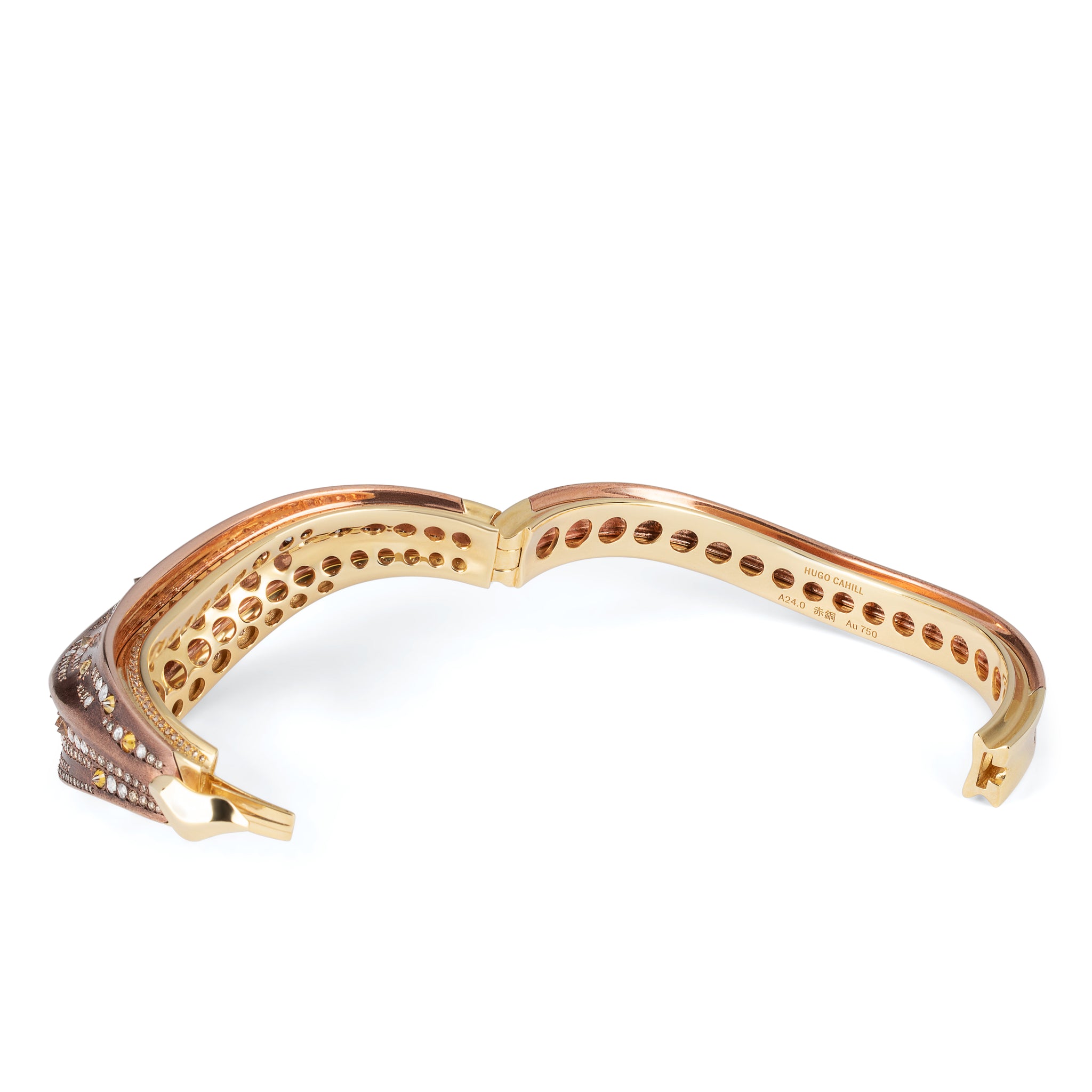 Laniakea Supercluster Cuff