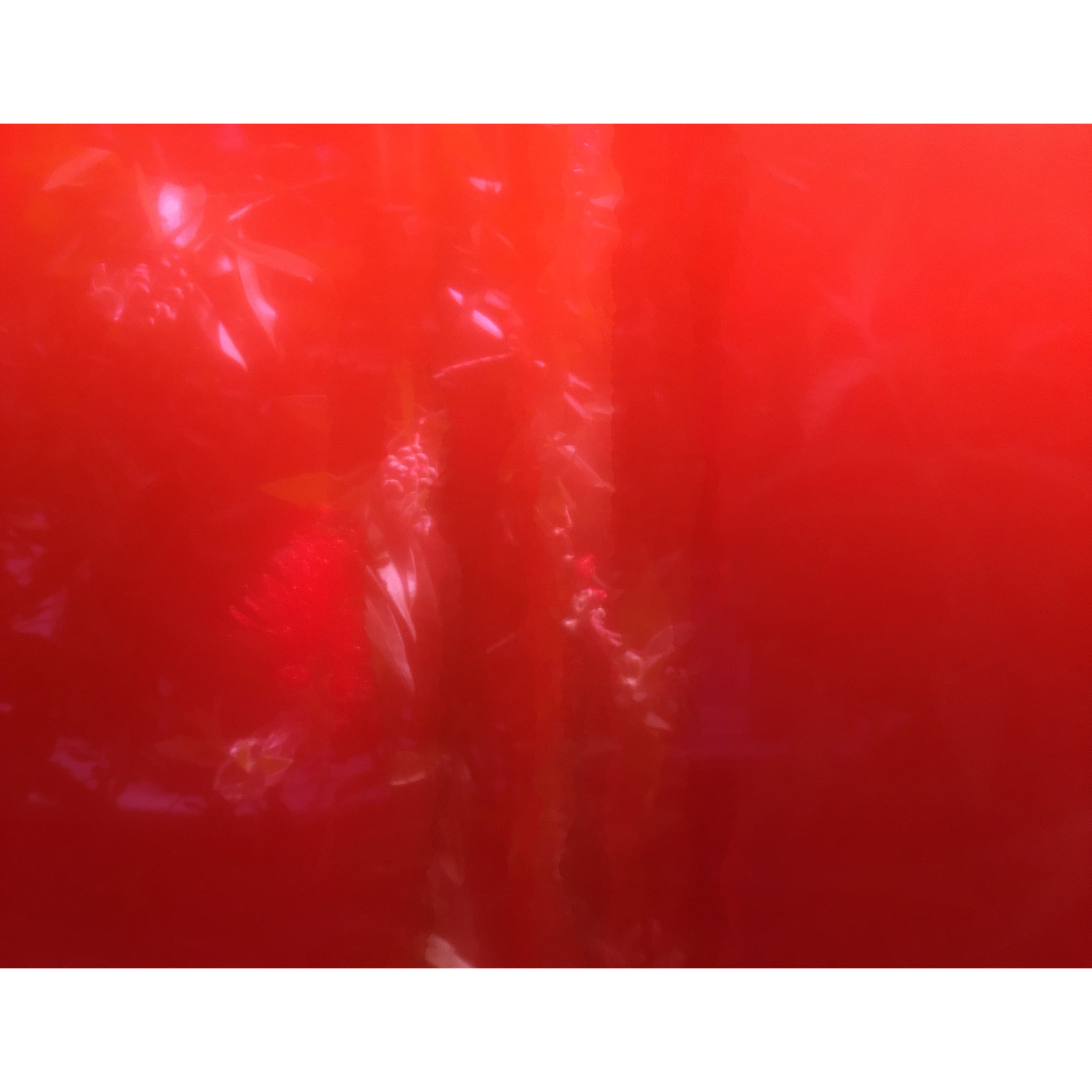 Material colour reference reflecting the chromatic inspiration of the Ruby Wedding Bands
