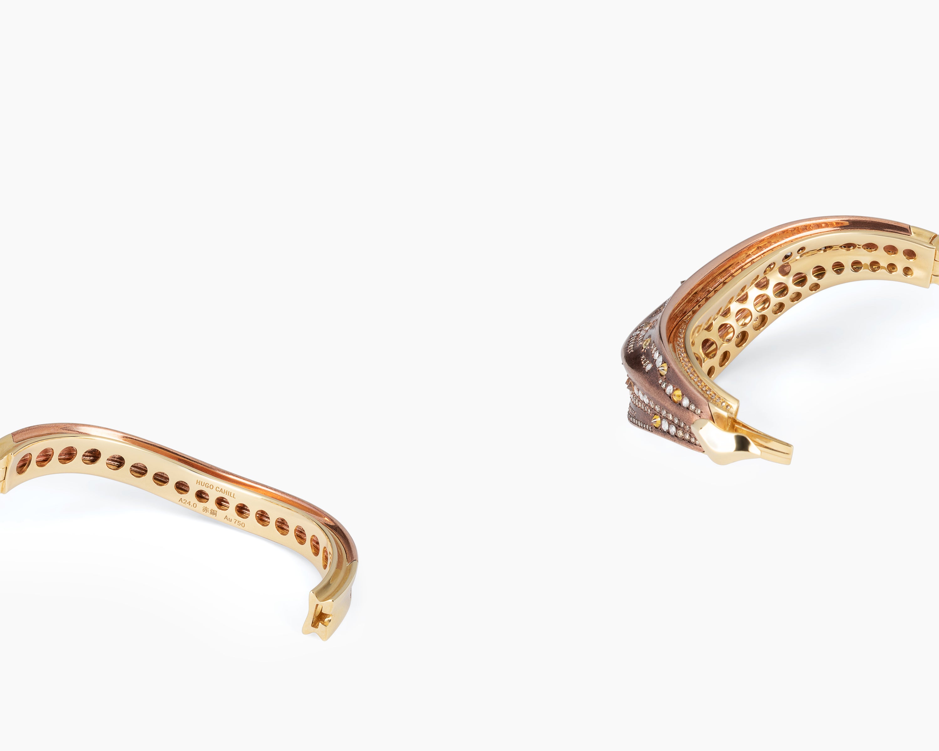 Laniakea Supercluster cuff double perspective