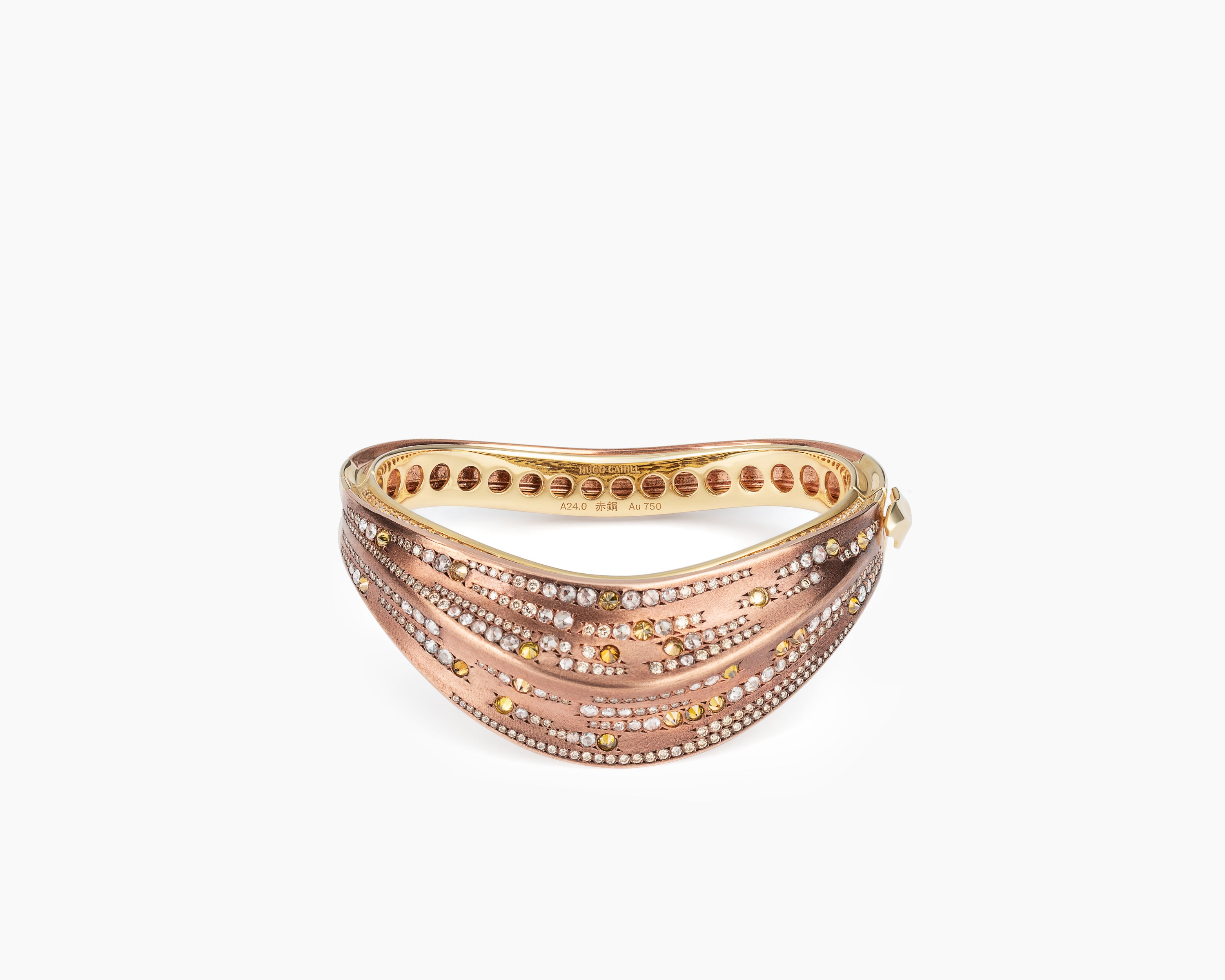 Laniakea Supercluster cuff full view